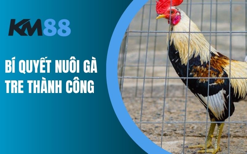 Bí quyết nuôi gà tre thành công