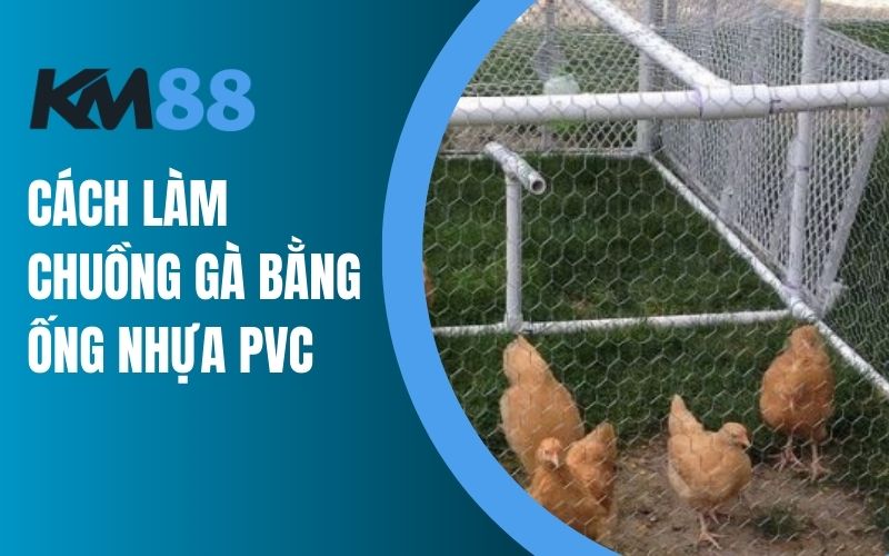 Làm chuồng gà bằng ống PVC