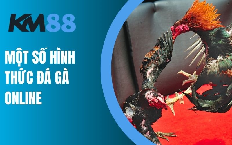 Một số hình thức đá gà ăn tiền online tại KM88